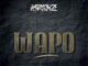 Harmonize – Wapo