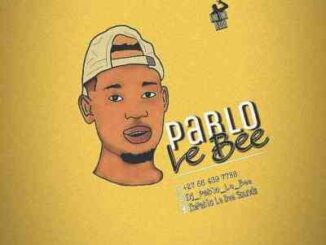 Pablo Le Bee – 501 Personality (Christian BassMachine)