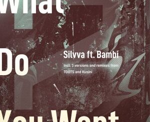 Silvva, Bambi – What Do You Want