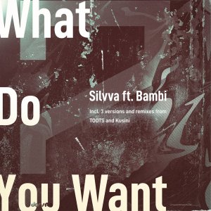 Silvva, Bambi – What Do You Want