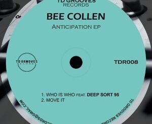 Bee Collen & Deep Sort 95 – Anticipation