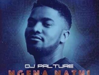DJ Palture – Ngena Nathi Ft. Andiswa Mbantsa