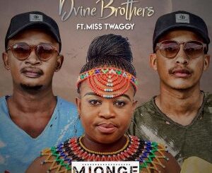 Dvine Brothers & Miss Twaggy – Mjonge
