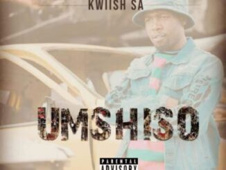 Kwiish SA – LiYoshona Ft. Njelic, Malumnator & De Mthuda