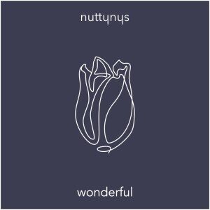 Nutty Nys – Wonderful (Original Mix)