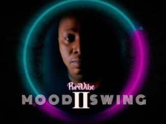 PureVibe – Mood II Swing