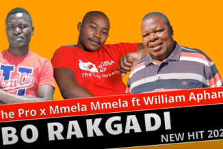 VT The Pro x Mmela Mmela – Bo Rakgadi Ft. William Aphane