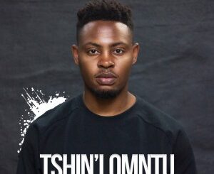 DeBryan – Tshin’ lomntu (feat. Tebogo Louw, Lu Ngobo, Mr Luu & MSK)