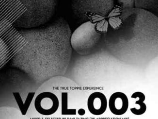 Djay Tazino – The True Toppie Expereince Vol.003 Mix