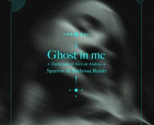 Nico De Andrea – Ghost in Me (Sparrow & Barbossa Remix)