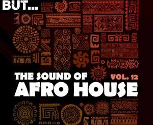 Nothing But… The Sound of Afro House, Vol. 12