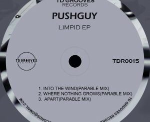 Pushguy – LIMPID