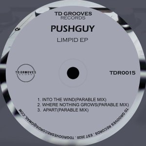 Pushguy – LIMPID