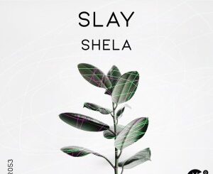 Slay (SA) – Shela (Original Mix)