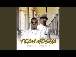 Team Mosha – Expect The Unexpected