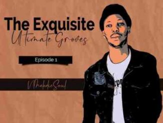 V MelodicSoul – The Exquisite Ultimate Groves