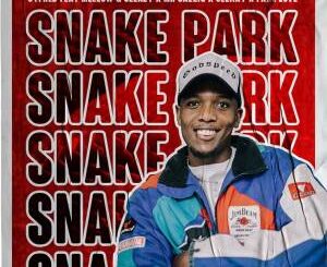 Cyfred – Snake Park (feat. Mellow, Sleazy, Mr JazziQ, Seekay & Fake Love)