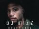 DJ Mizz – Never Stop Dreaming (Album 2016)