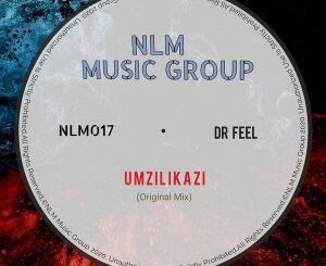 Dr Feel – Umzilikazi (Original Mix)