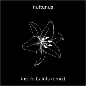 Nutty Nys – Inside (Taints Remix)