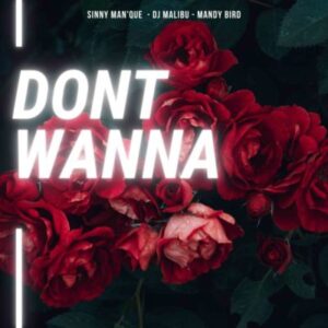 Sinny Man’Que, DJ Malibu & Mandy Bird – Don’t Wanna