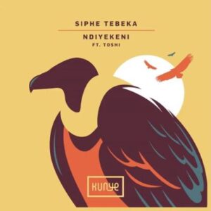 Siphe Tebeka – Ndiyekeni (Mozaik Remix) Ft. Toshi