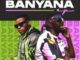 Tyler ICU – Banyana ft. Kabza De Small, Sir Trill, Daliwonga & DJ Maphorisa (Official)