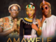 Zodumo – Amawele Ft. Msagazi & Dj Bhozo