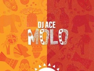 DJ Ace – Molo