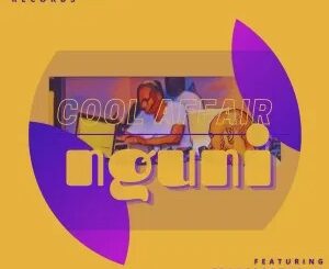 Cool Affair – Nguni