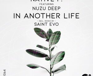 Native P. – In Another Life (feat. Nuzu Deep)