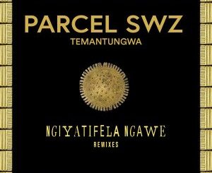 Parcel (SWZ), Temantungwa – Ngiyatifela Ngawe (Remixes)