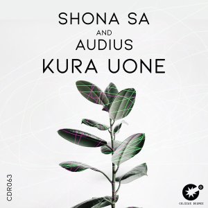 Shona SA & Audius – Kura Uone