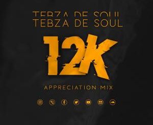 Tebza De SouL – 12k Appreciation Mix