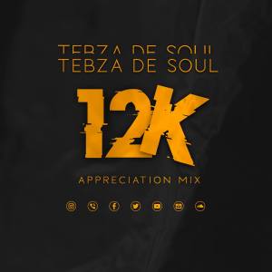 Tebza De SouL – 12k Appreciation Mix