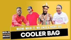 Waswa Moloi – Cooler Bag ft Mr Lenzo & Poshy Gal