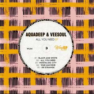 Aquadeep & Veesoul – All You Need