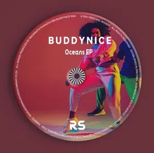 Buddynice – Idlozi Lam’ (Redemial Mix)