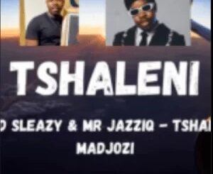 Mellow, Sleazy, Mr JazziQ – Tshaleni ft Sho Madjozi