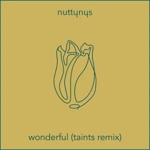 Nutty Nys – Wonderful (Taints Remix)