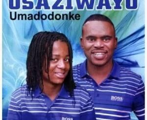Osaziwayo – Kwabuyephethe