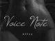 Allyz – Voice Note