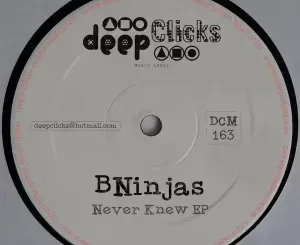 BNinjas – Never Knew EP