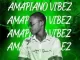 DJ Leo Mix – Amapiano Vibez Vol. 2