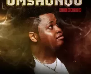 Dladla Mshunqisi – Umshunqo Reloaded