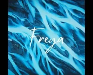 Dwson – Freya (Original Mix)