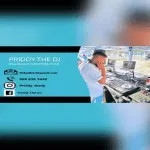 Priddy The DJ – Amapiano Mix 01