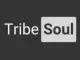 Rowen & TribeSoul – Ties (Dub Feel)