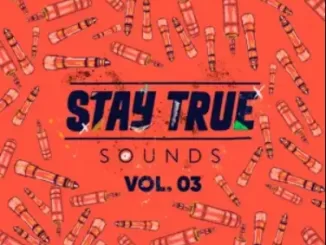 Various Artists – Stay True Sounds Vol.3 (Compiled by Kid Fonque)