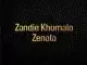 Zandie Khumalo – Zenala (song)